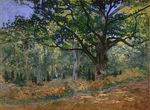 The Bodmer Oak, Fontainebleau